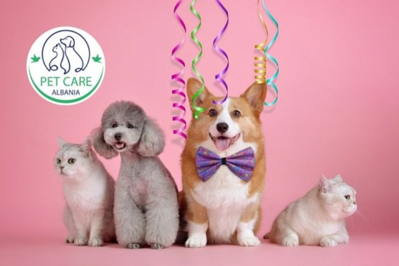 veteriner urgjent kafshe te vogla Tirane, trajtim urgjent peshq Tirane, ndihme veterinare lepuj Tirane, trajtim emergjent breshka Tirane, trajtim emergjent papagaj Tirane, trajtim emergjent qen Tirane, trajtim emergjent mace Tirane