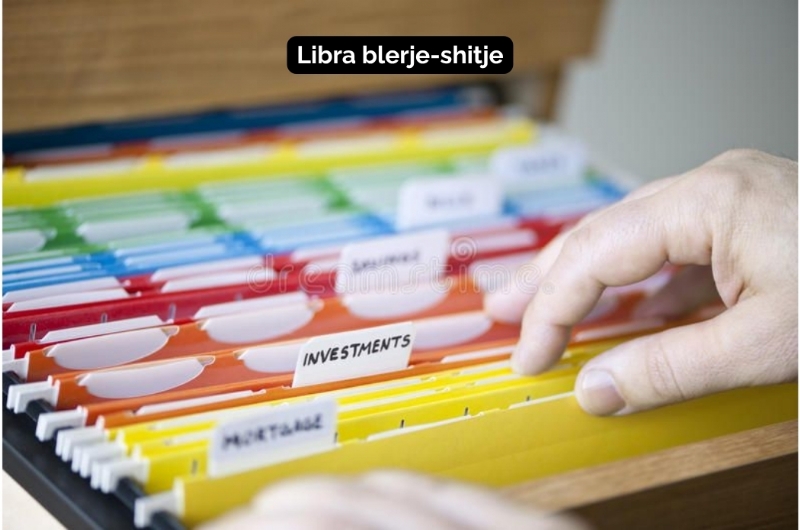 libra blerje shitje, kontroll libra financiare, deklarim libra tatimorë, shërbime per libra fiskale, rakordim faturash, anulim fature, ndryshim faturash tatimore, libra kontabel, kontabilitet shqiperi