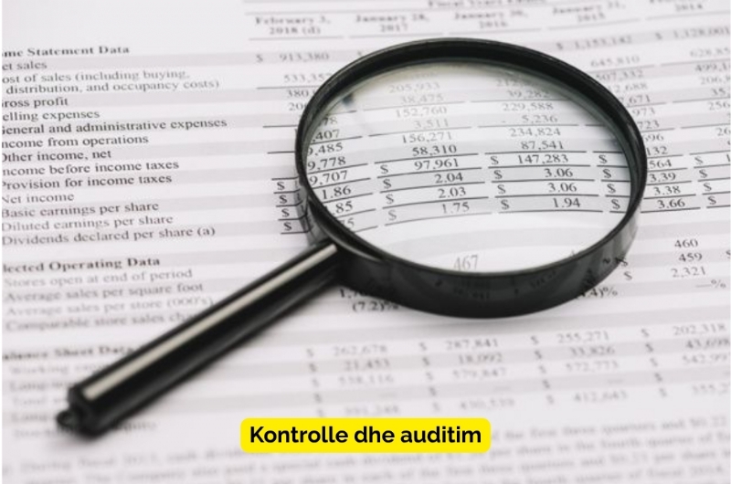 shërbime kontrolli financiar, perfaqesim i biznesit, asistence tatimore, perfaqesim fiskal, kontroll financiar, audit contabel, audit tatimor, kontroll tatimor, shërbime auditimi, raport auditimi, audit i biznesit