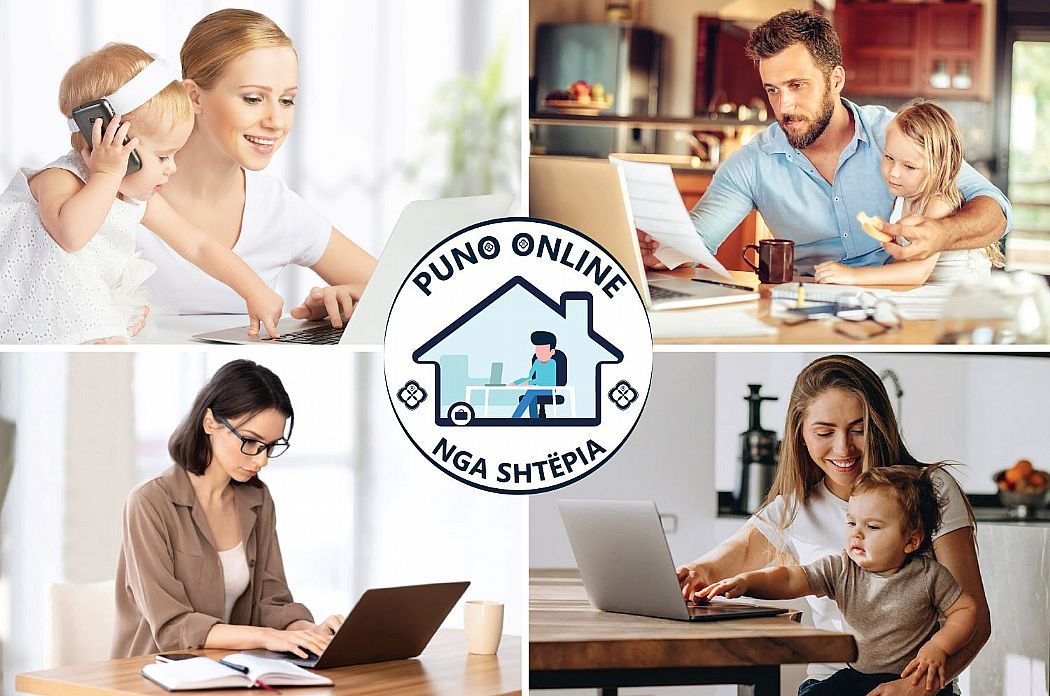 PUNA ONLINE NGA SHTEPIA 